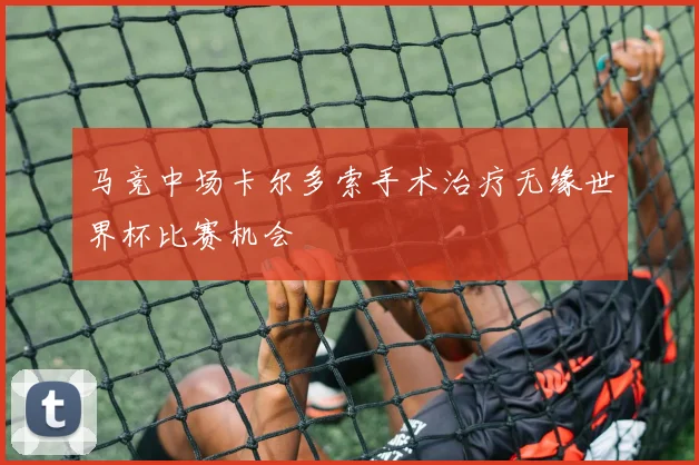 马竞中场卡尔多索手术治疗无缘世界杯比赛机会