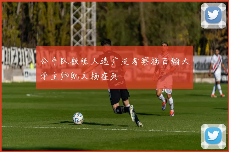 公牛队教练人选广泛考察杨百翰大学主帅凯文杨在列